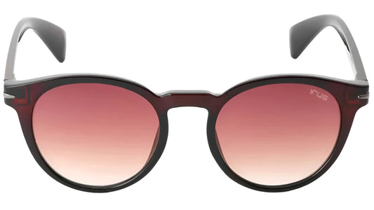 Front-facing view of IRUS S1323 C2 sunglasses displaying the clean lines and polished finish.