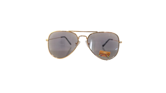 Escape CH3025 Gold Photochromic Aviator Sunglasses